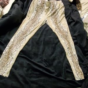 Python look leggings